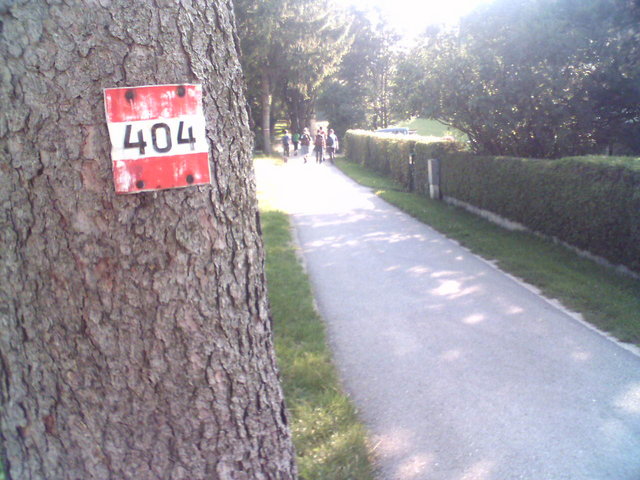 tree, with a 404 marking in the foreground next to a path, leading into a sun-glare, with wanderers seen in the distance