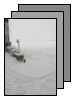 [weather]